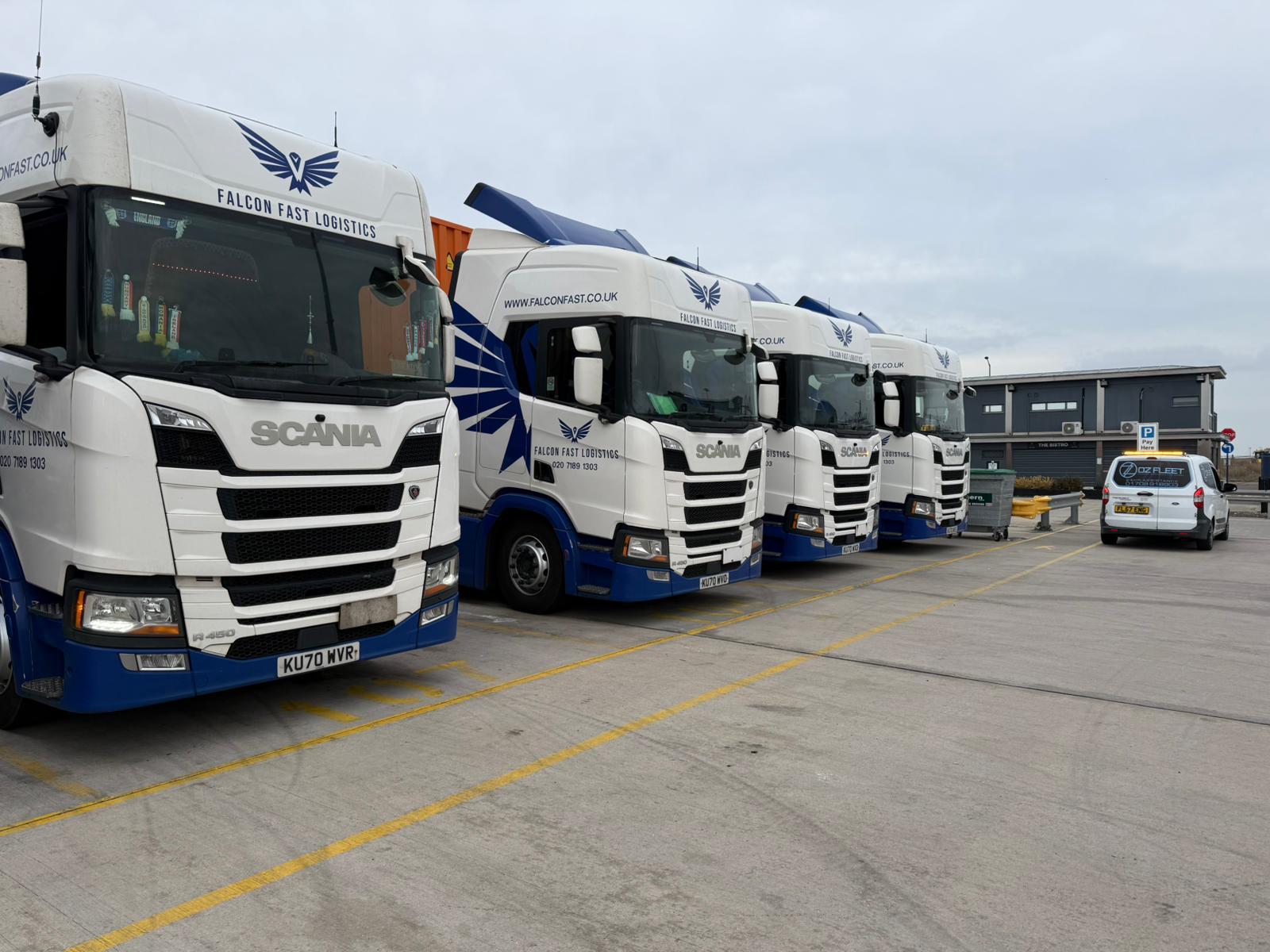 Row of Falcon Fast Logistics Scania tractor units at the depot